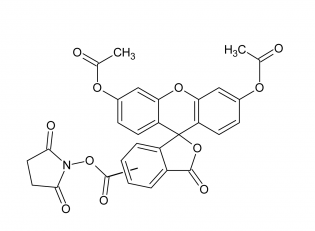 5-FAM|（5(6)-羧基荧光素二乙酸琥珀酰亚胺酯）