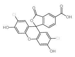FAM|5-羧基-2’7’-二氯荧光素