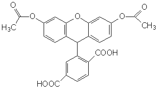 FAM|6-羧基荧光素二乙酸酯