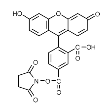 FAM|5-羧基荧光素琥珀酰亚胺酯