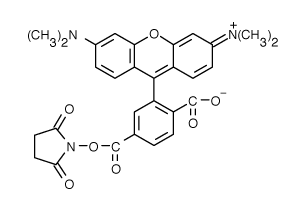 5-TAMRA|6-羧基四甲基罗丹明琥珀酰亚胺酯
