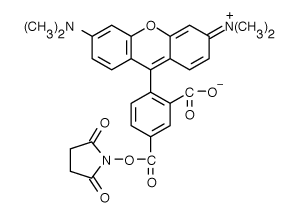 TAMRA|5-羧基四甲基罗丹明琥珀酰亚胺酯