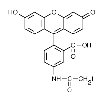 5-碘乙酰氨基荧光素