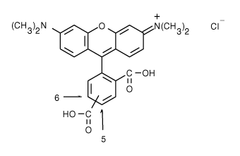TAMRA|5(6)-羧基四甲基罗丹明盐酸盐