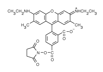 TAMRA|5-罗丹明6G 琥珀酰亚胺酯